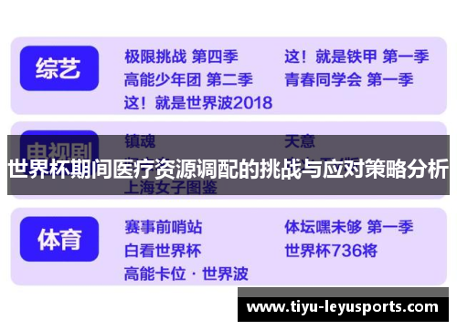 世界杯期间医疗资源调配的挑战与应对策略分析