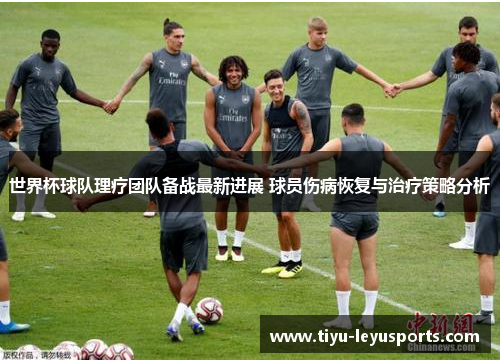 世界杯球队理疗团队备战最新进展 球员伤病恢复与治疗策略分析