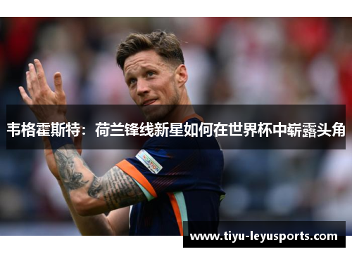 韦格霍斯特：荷兰锋线新星如何在世界杯中崭露头角