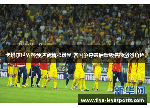 卡塔尔世界杯预选赛精彩纷呈 各国争夺最后晋级名额激烈角逐