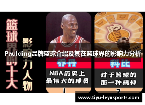 Paulding品牌篮球介绍及其在篮球界的影响力分析 Paulding品牌篮球介绍及其在篮球界的影响力分析