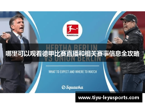 哪里可以观看德甲比赛直播和相关赛事信息全攻略