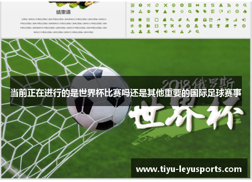 当前正在进行的是世界杯比赛吗还是其他重要的国际足球赛事