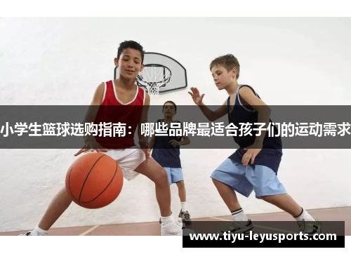 小学生篮球选购指南：哪些品牌最适合孩子们的运动需求