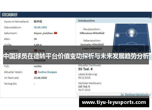 中国球员在德转平台价值变动探析与未来发展趋势分析 中国球员在德转平台价值变动探析与未来发展趋势分析