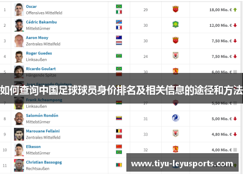 如何查询中国足球球员身价排名及相关信息的途径和方法 如何查询中国足球球员身价排名及相关信息的途径和方法