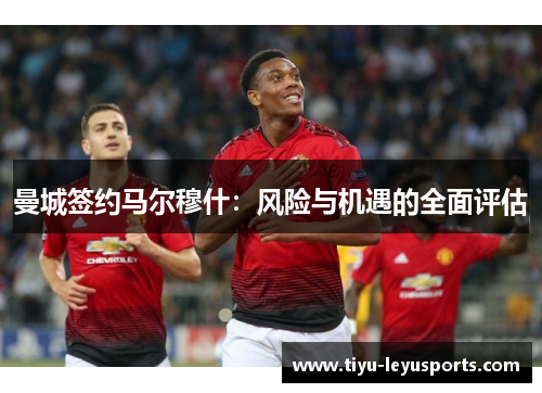 曼城签约马尔穆什：风险与机遇的全面评估