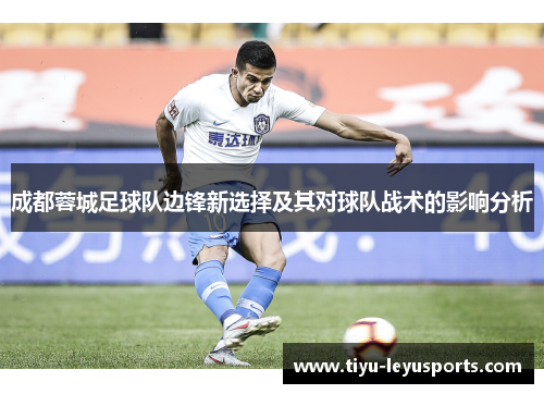 成都蓉城足球队边锋新选择及其对球队战术的影响分析 成都蓉城足球队边锋新选择及其对球队战术的影响分析