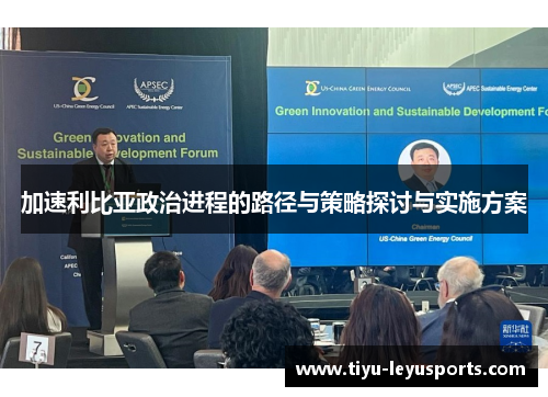 加速利比亚政治进程的路径与策略探讨与实施方案