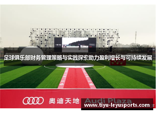 足球俱乐部财务管理策略与实践探索助力盈利增长与可持续发展