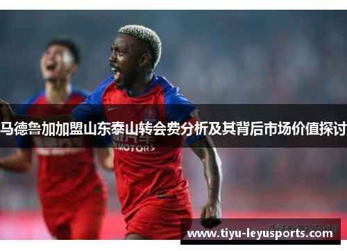 马德鲁加加盟山东泰山转会费分析及其背后市场价值探讨 马德鲁加加盟山东泰山转会费分析及其背后市场价值探讨