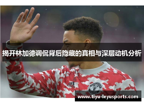 揭开林加德调侃背后隐藏的真相与深层动机分析