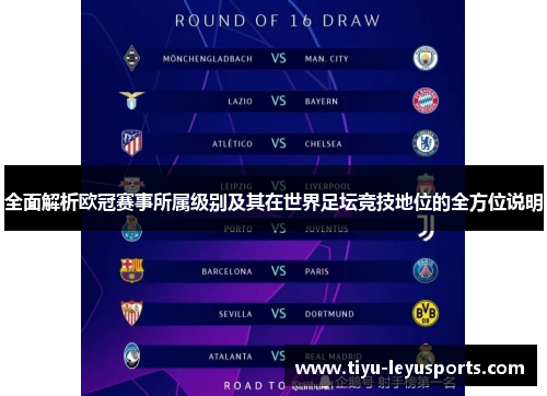 全面解析欧冠赛事所属级别及其在世界足坛竞技地位的全方位说明